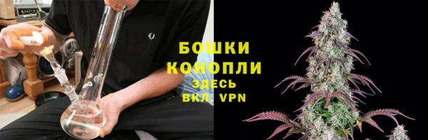 прущие крисы Карпинск
