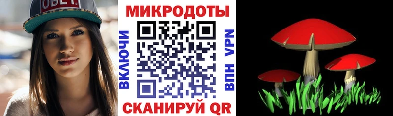 как найти наркотики  Красавино  Галлюциногенные грибы прущие грибы 
